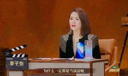 武汉爆料李悦视频播放时间,揭秘事件背后真相，播放时间引发热议